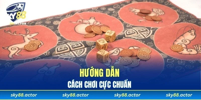 Khi bắt đầu thành viên sẽ có 60s để đặt cược