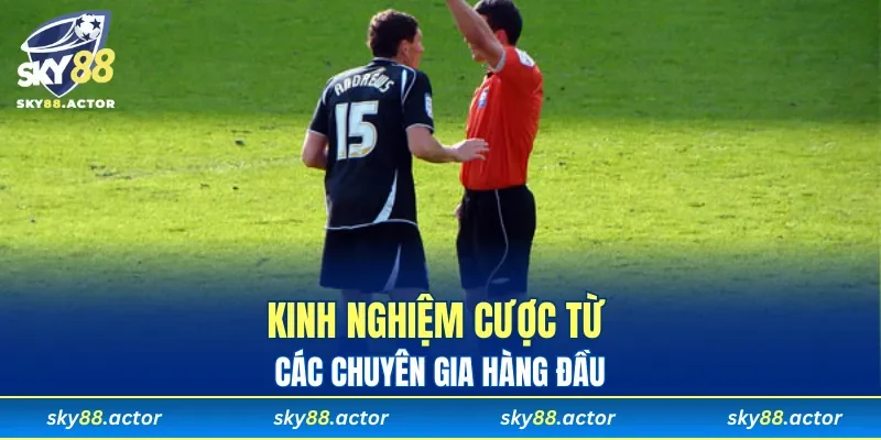 Kinh nghiệm cược từ các chuyên gia hàng đầu