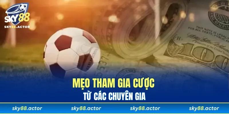 Mẹo tham gia cược từ các chuyên gia